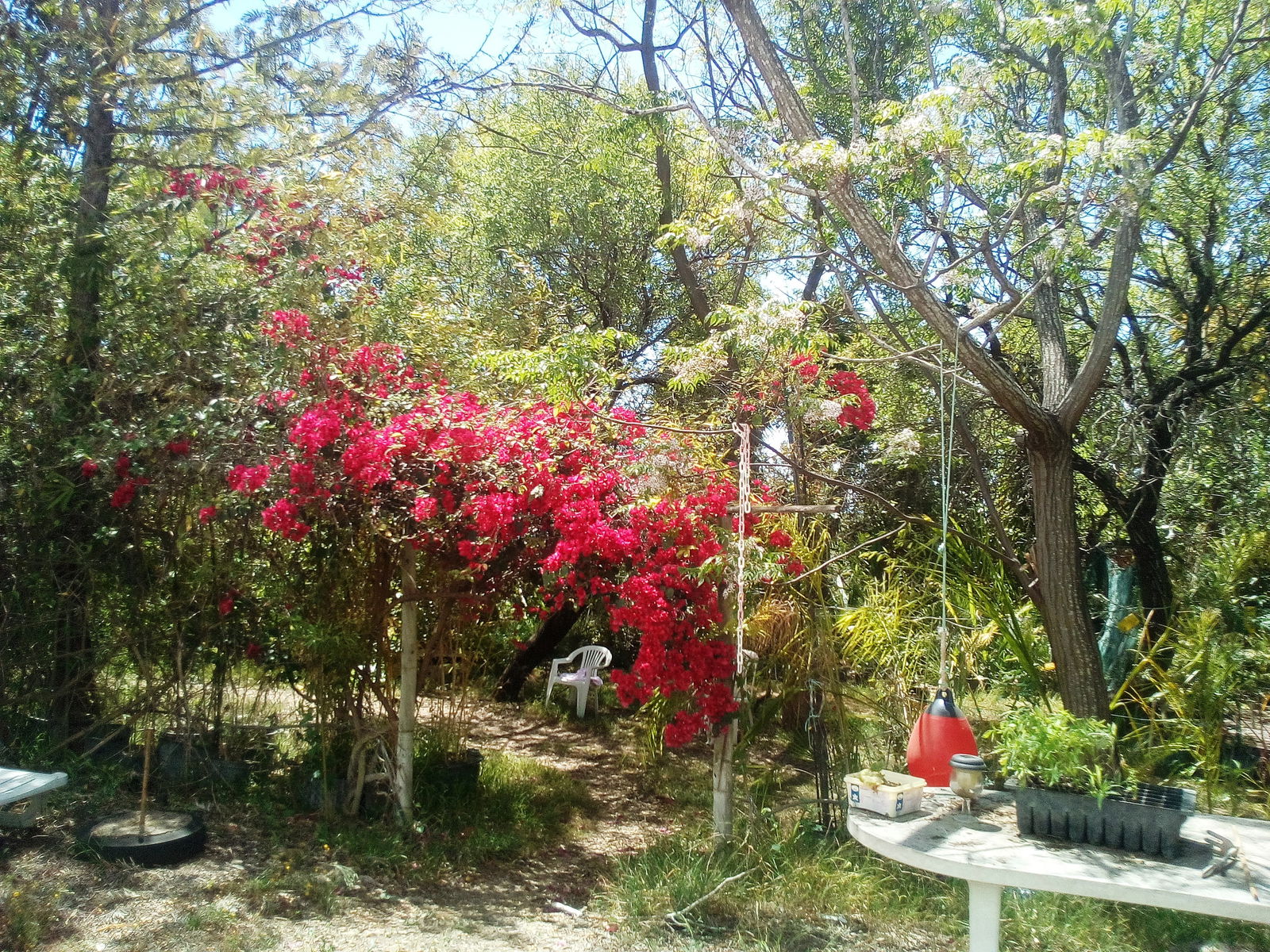 Bed And Breakfast Faro 206597