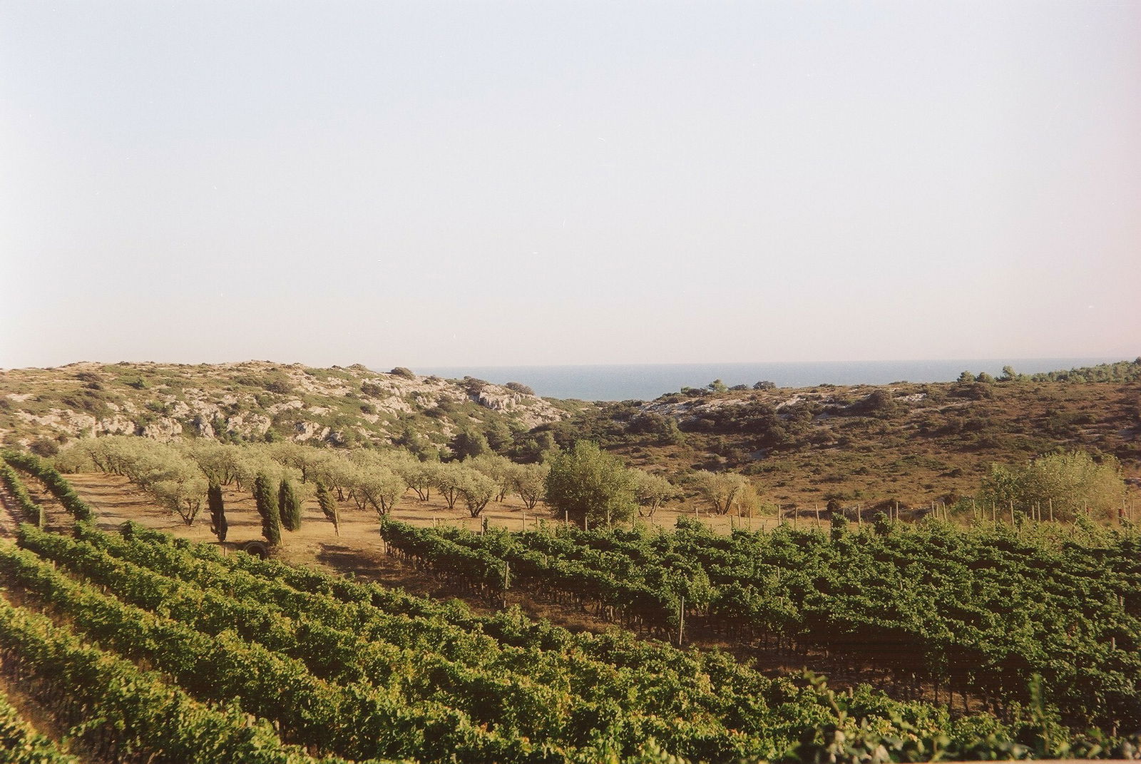 Bed And Breakfast Narbonne 62614