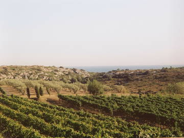 Chambre D'hôte Narbonne 62614-4