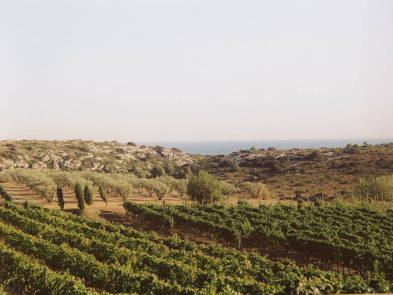 Gästezimmer Narbonne 62614-4