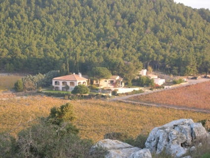 Bed And Breakfast Narbonne 62614