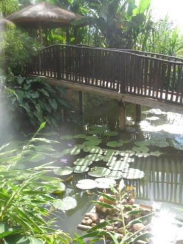 Bed And Breakfast Antananarivo 25704