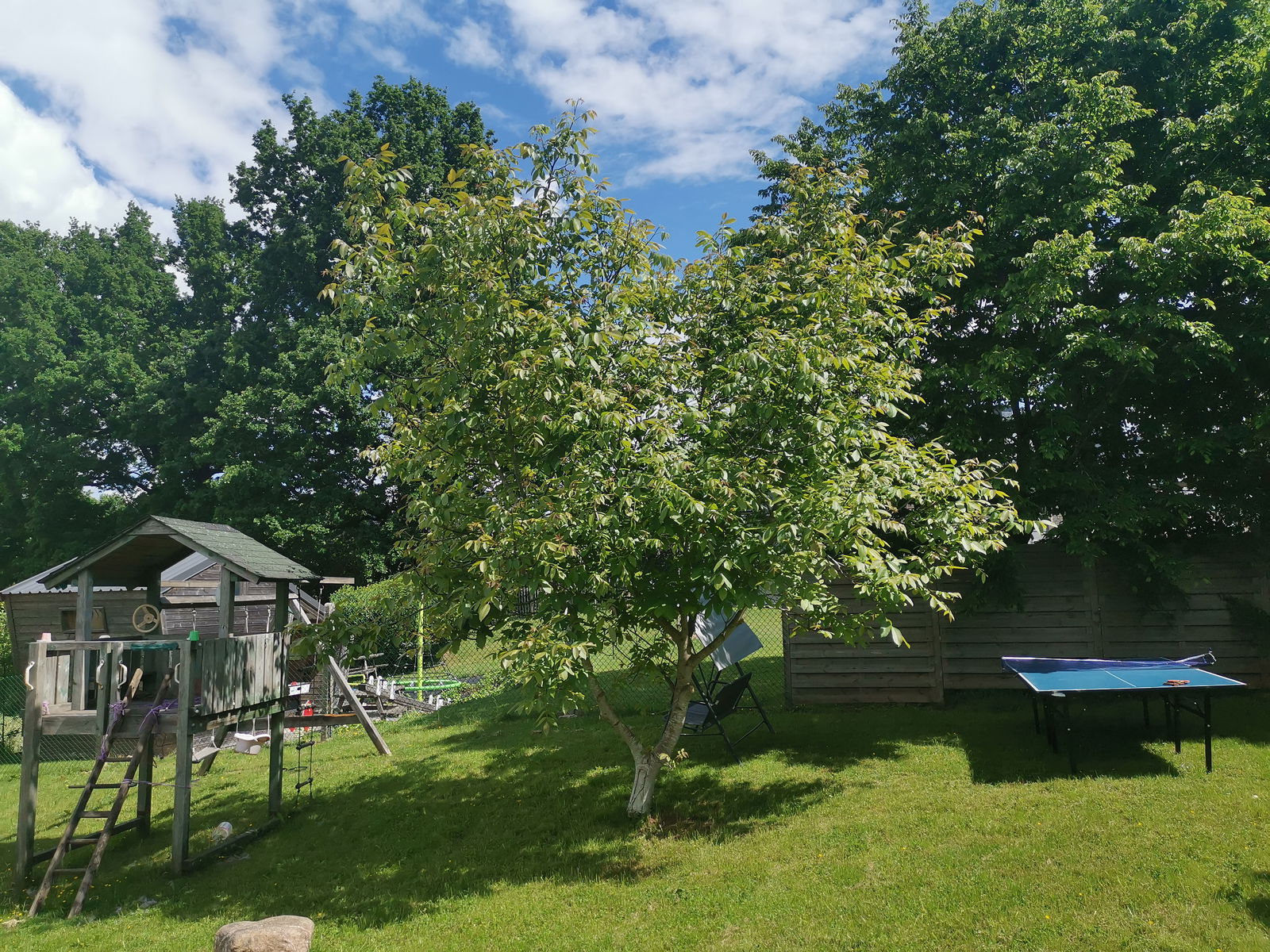 Homestay Malmedy 291930