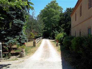 Chambre À Louer Castelsarrasin 256977-1