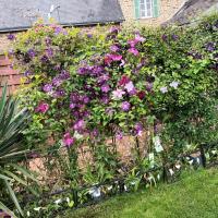 Gastfamilie Gorron 303582