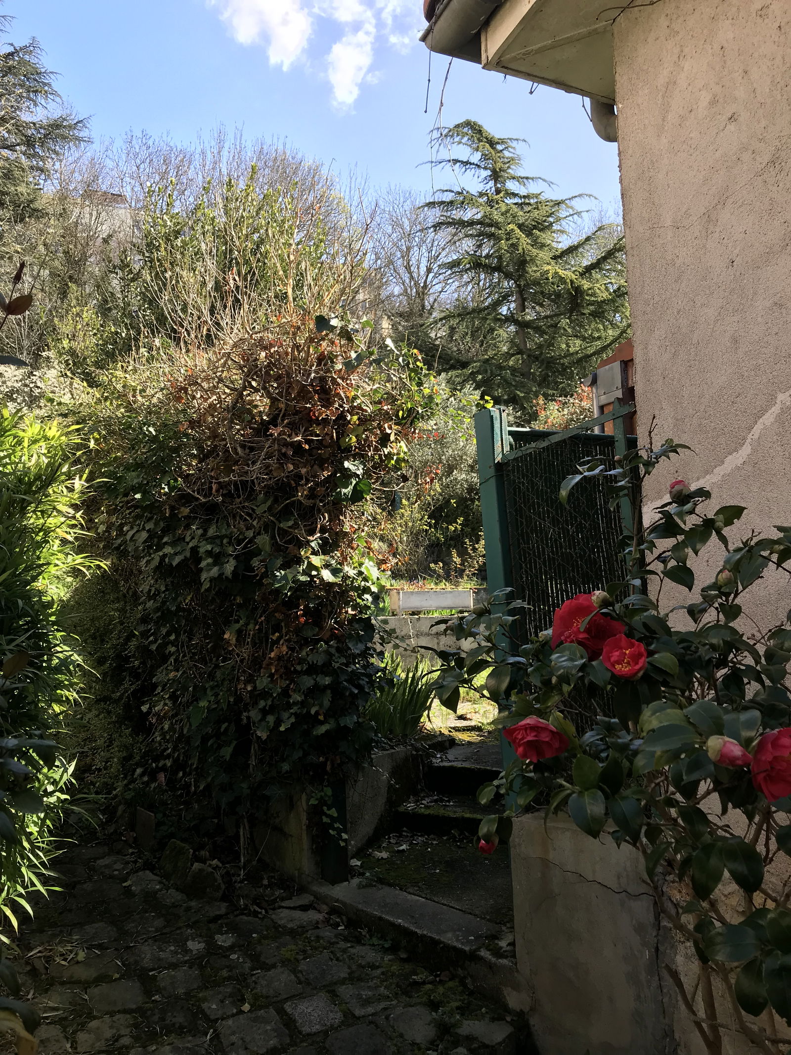 Życie Corbeil-Essonnes 500638