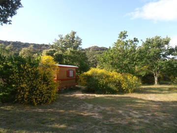 Chambre À Louer Saint-Paul-Trois-Châteaux 127611