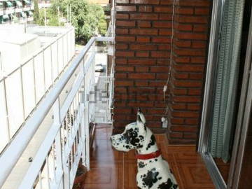 Colocation Madrid 180053-12