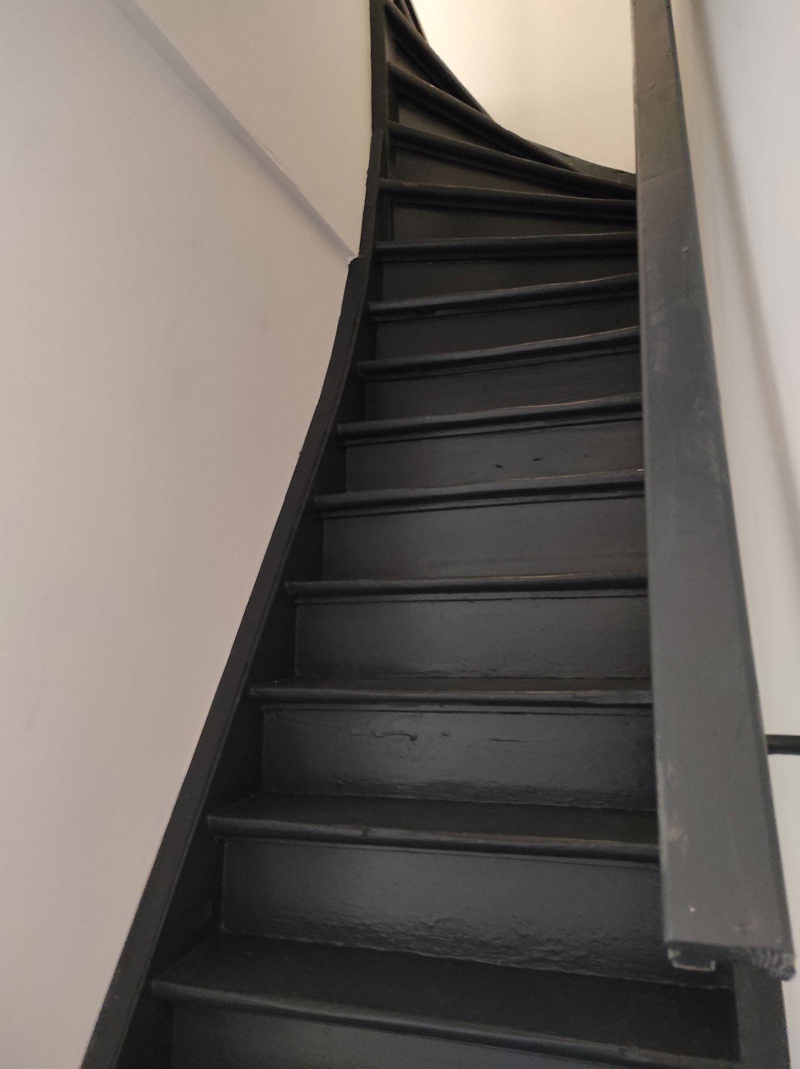 Colocación Roubaix 247057