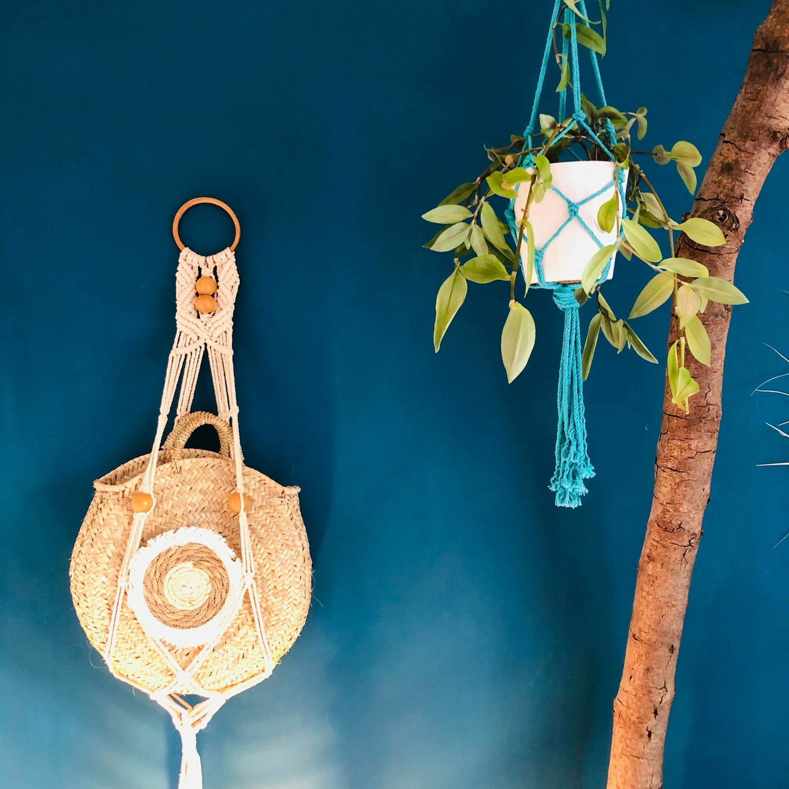 Quedarse En Casa L'Aigle 71748