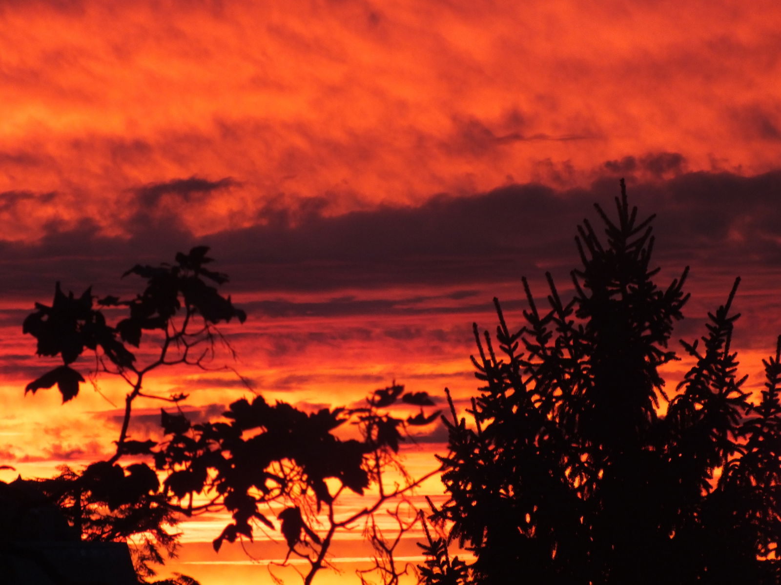 Quedarse En Casa Évian-les-Bains 160699
