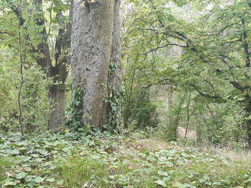 Chambre D'hôte Burgos 664657-17