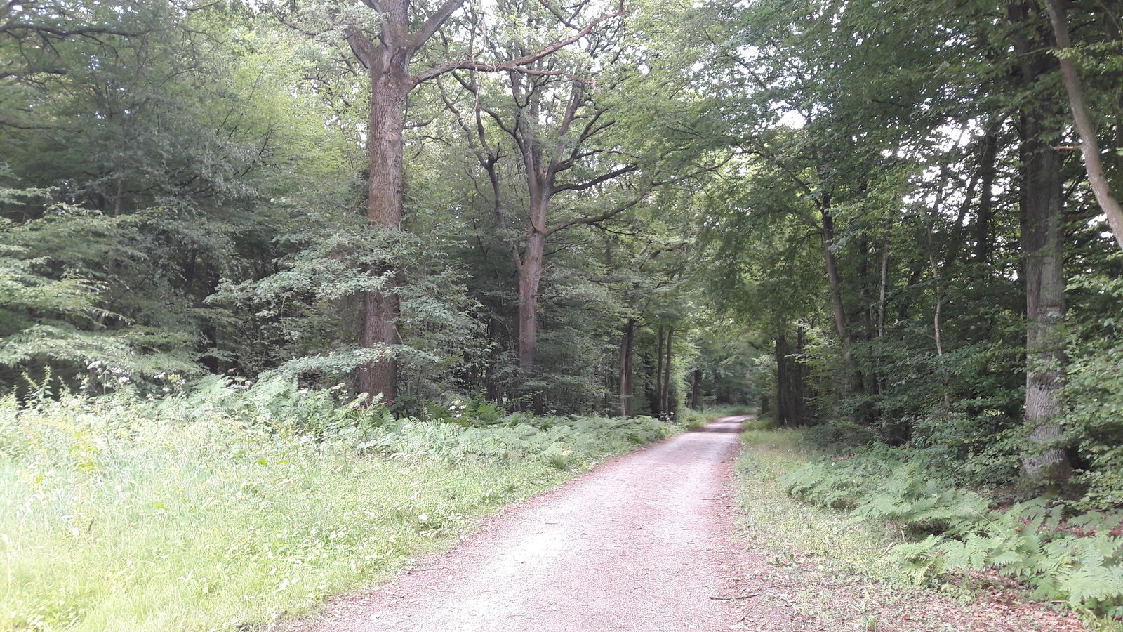 Quedarse En Casa Gerpinnes 176688