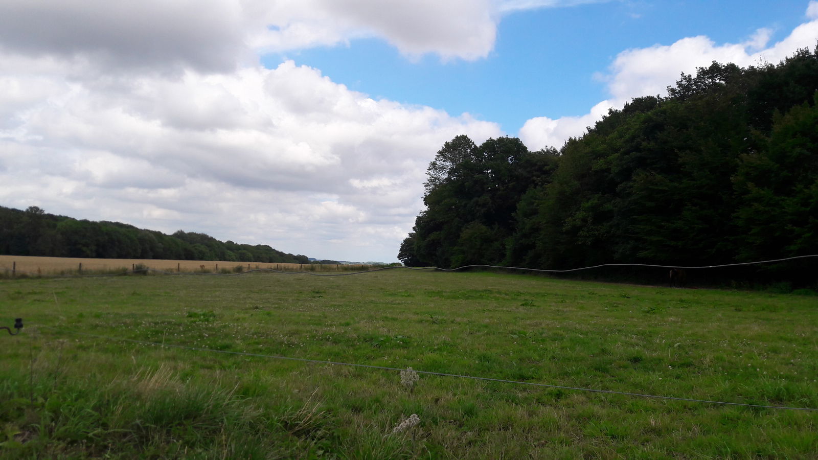 Quedarse En Casa Gerpinnes 176688