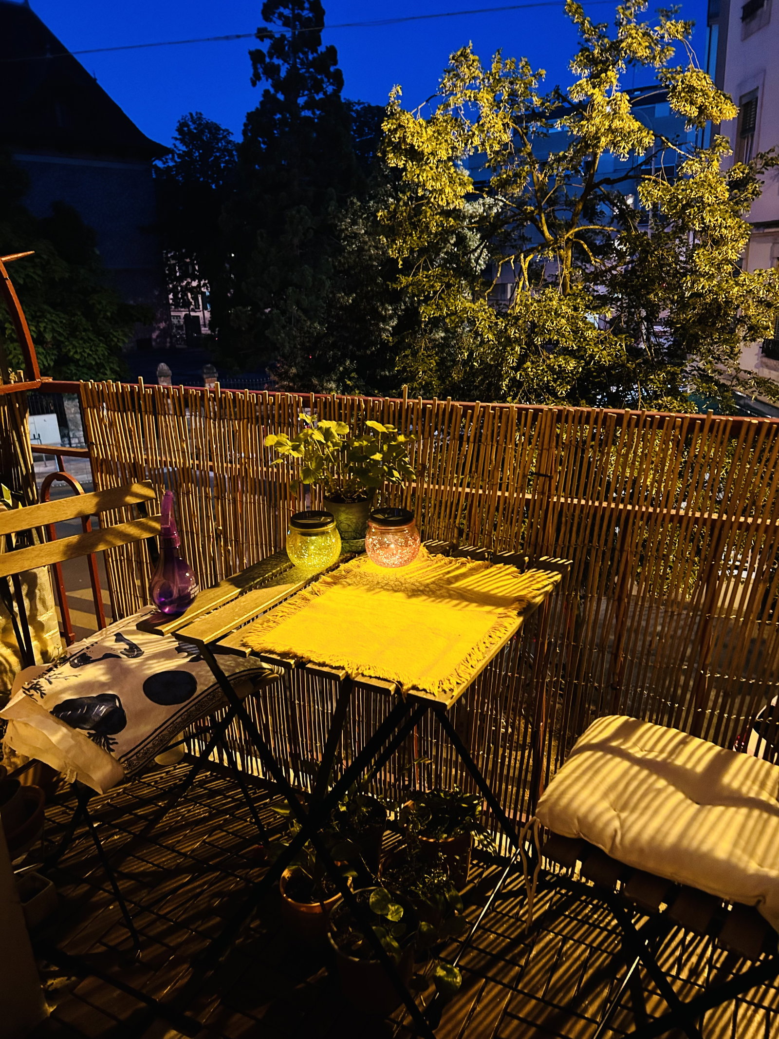 Coliving Genève 669699