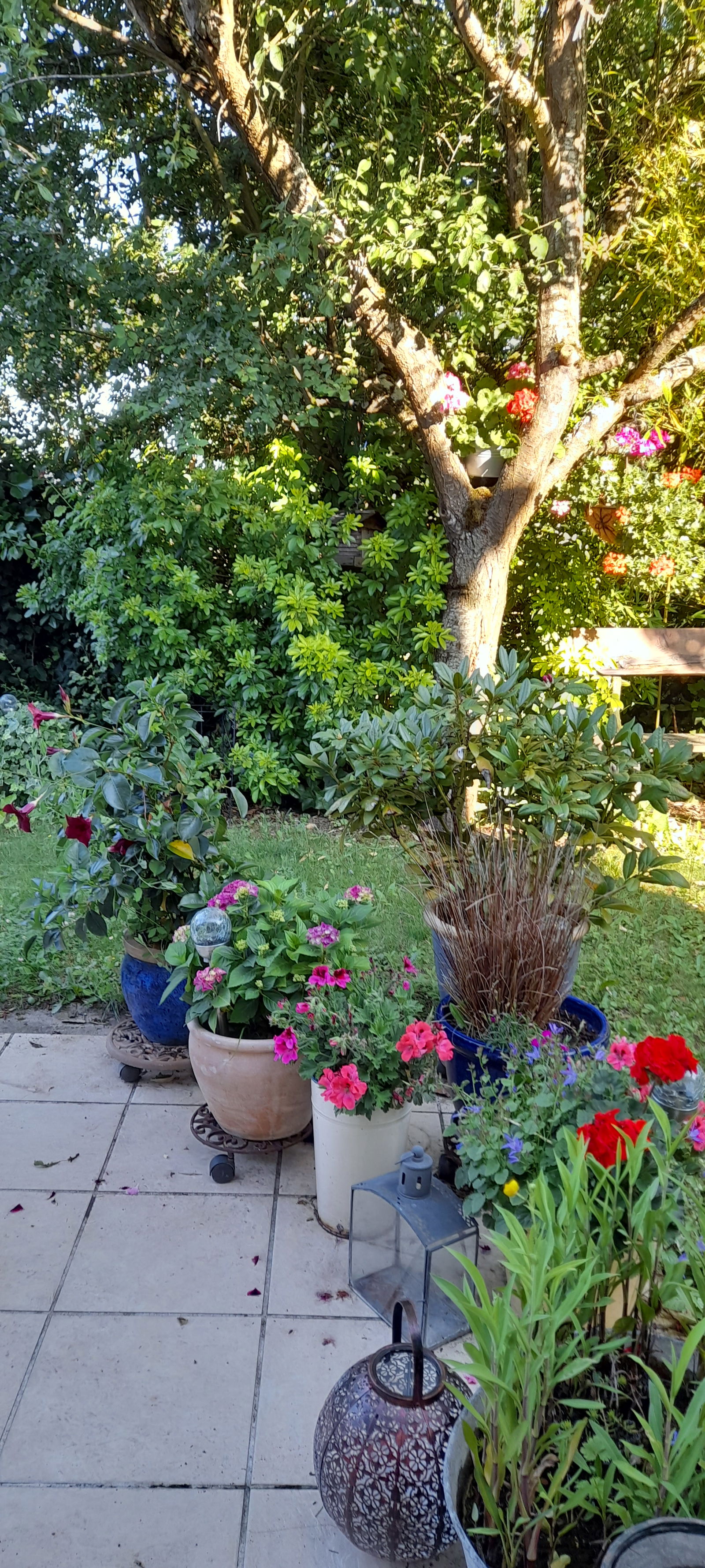 Quedarse En Casa Ennery 54149