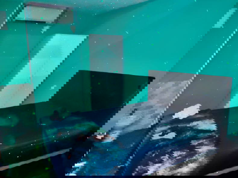 Homestay Barcelona 437265-1