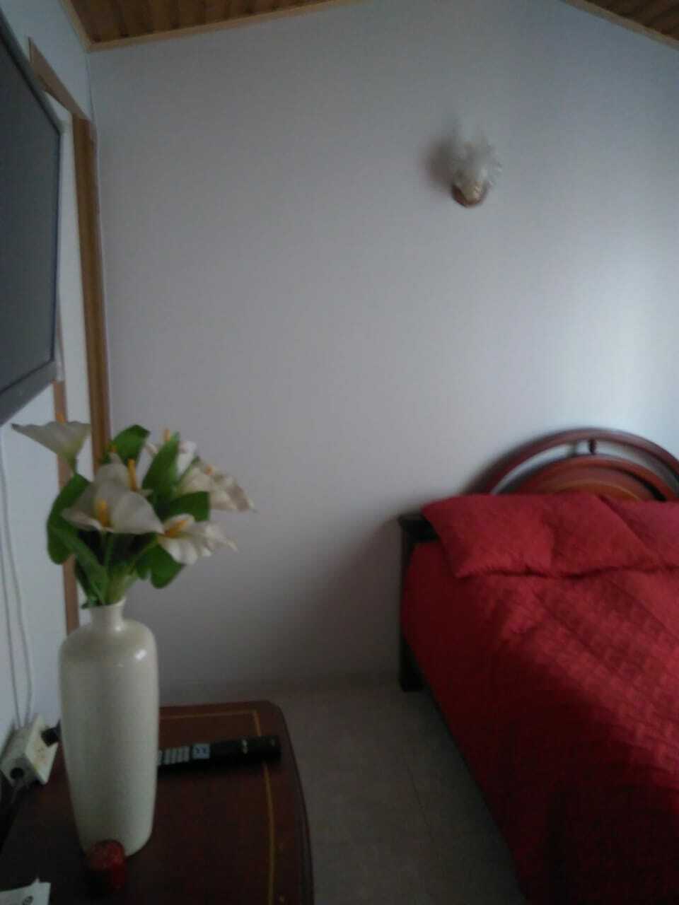 Quedarse En Casa Bogotá 242257