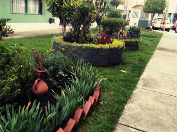 Chambre Chez L'habitant Bogotá 242257-12