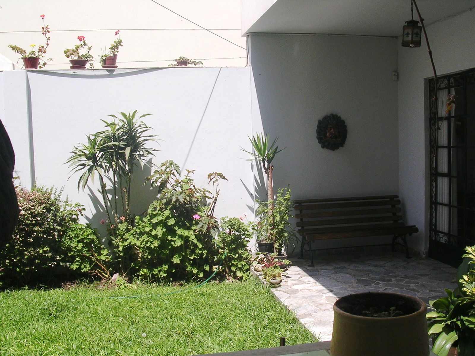 Colocación Miraflores 264274