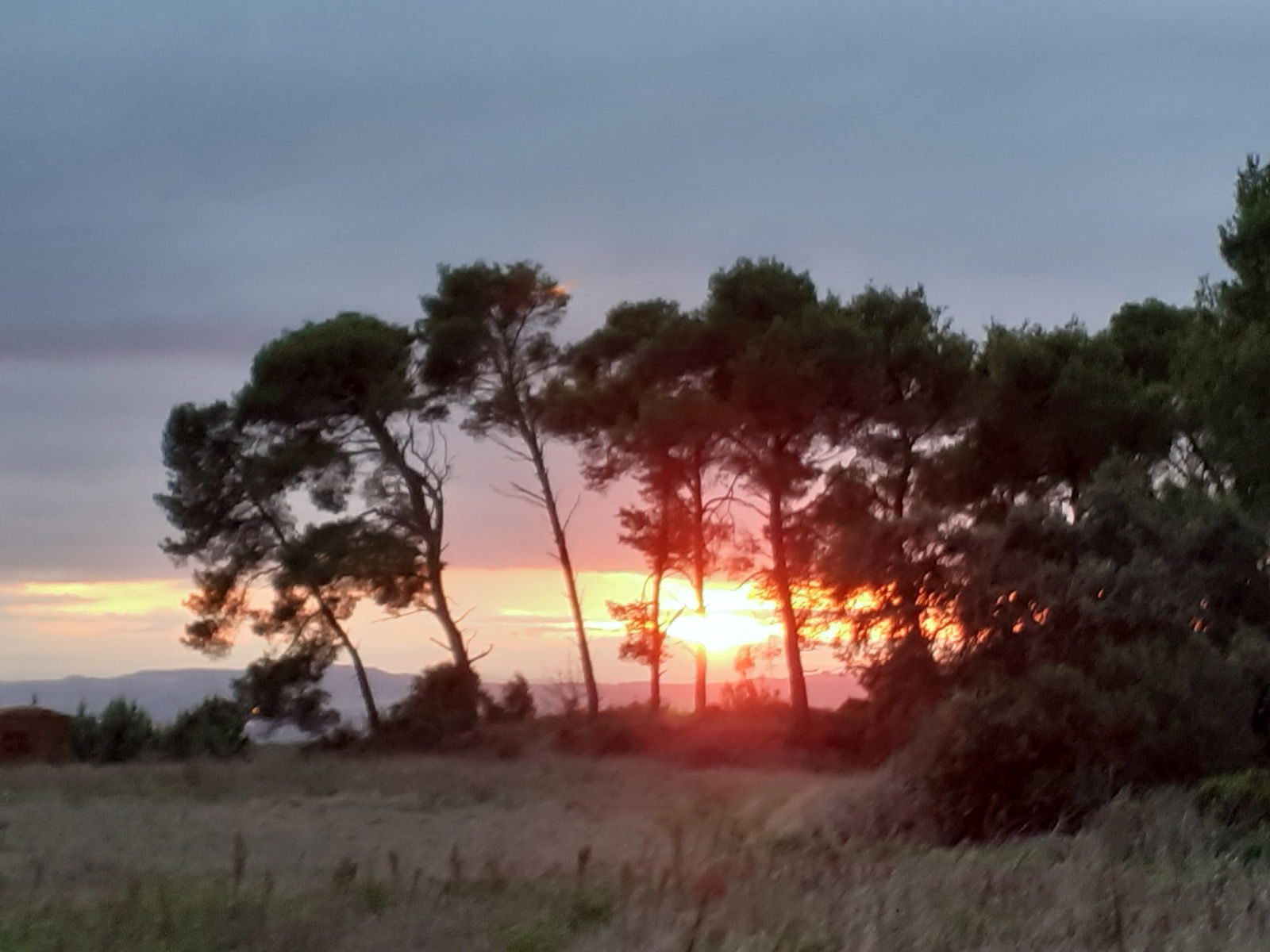 Quedarse En Casa Salles-d'Aude 86765