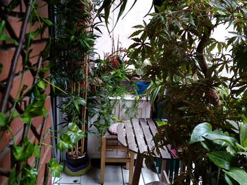 Chambre Chez L'habitant Barcelona 268589-10