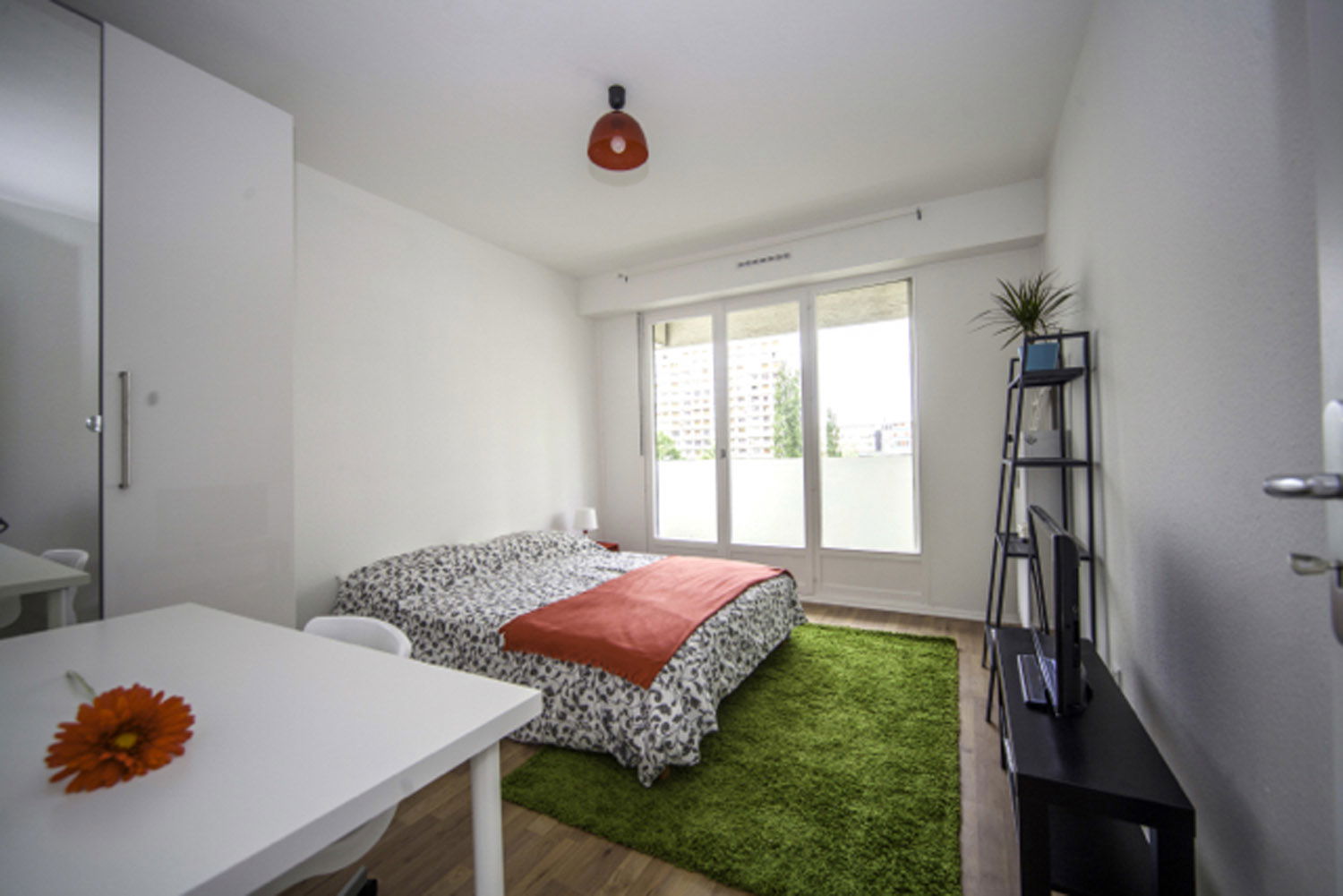 Colocación Strasbourg 264655