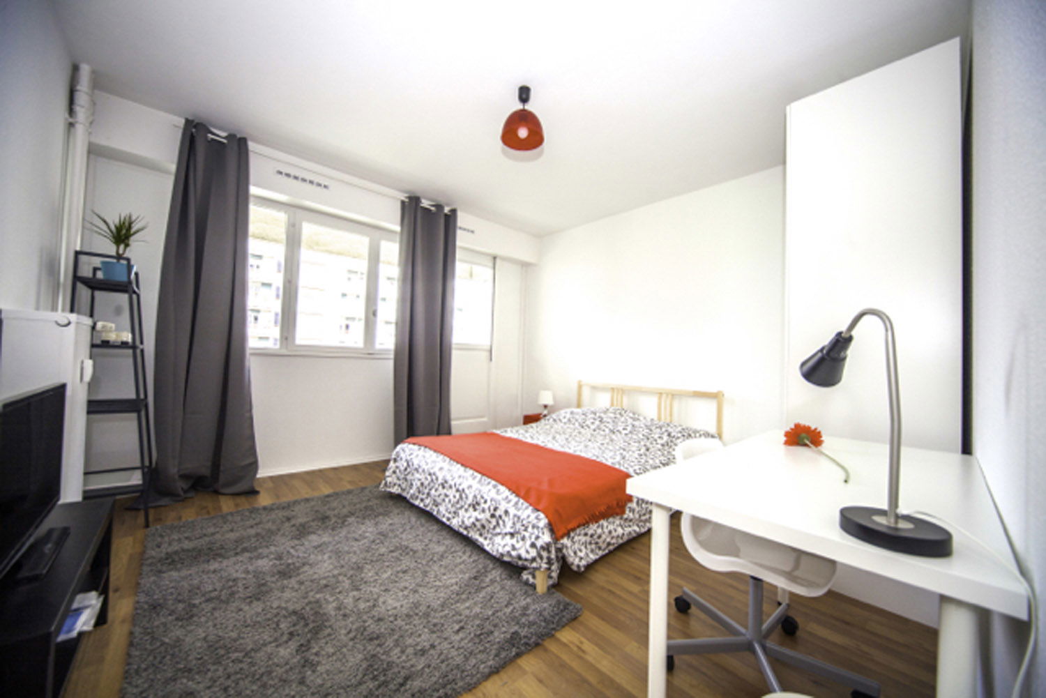 Colocación Strasbourg 264654