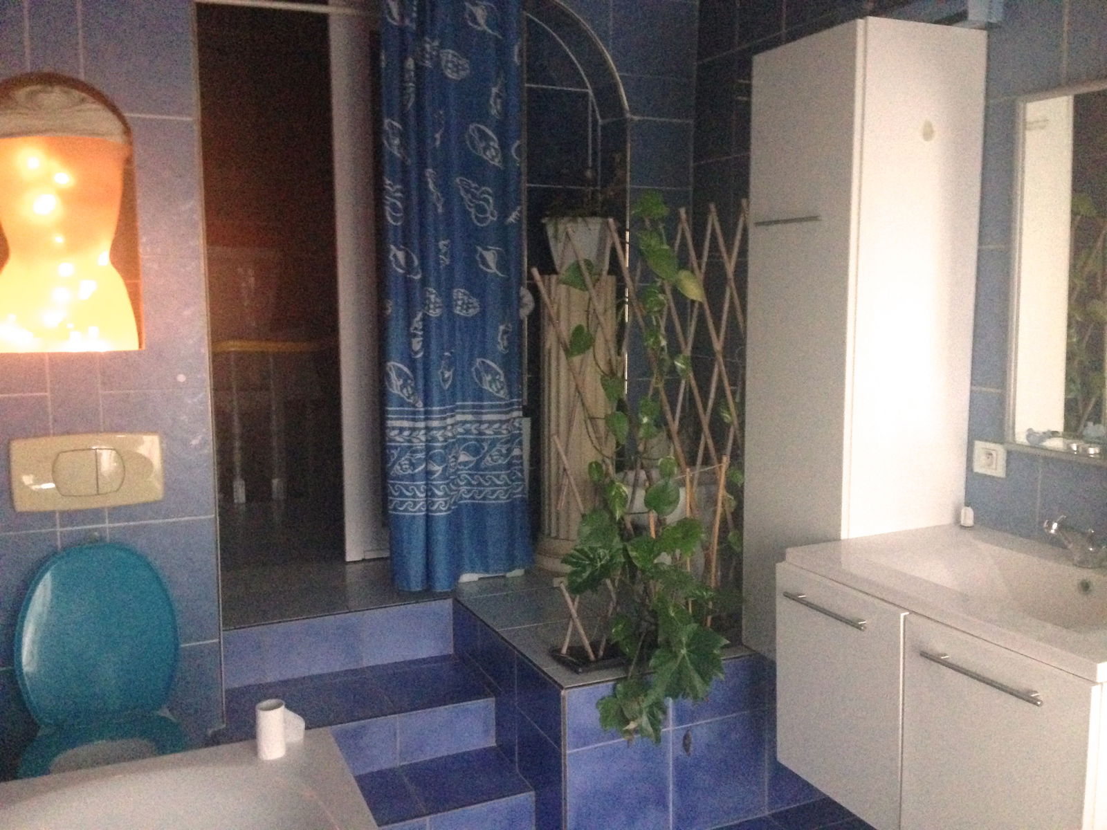 Colocación Schaerbeek 121938