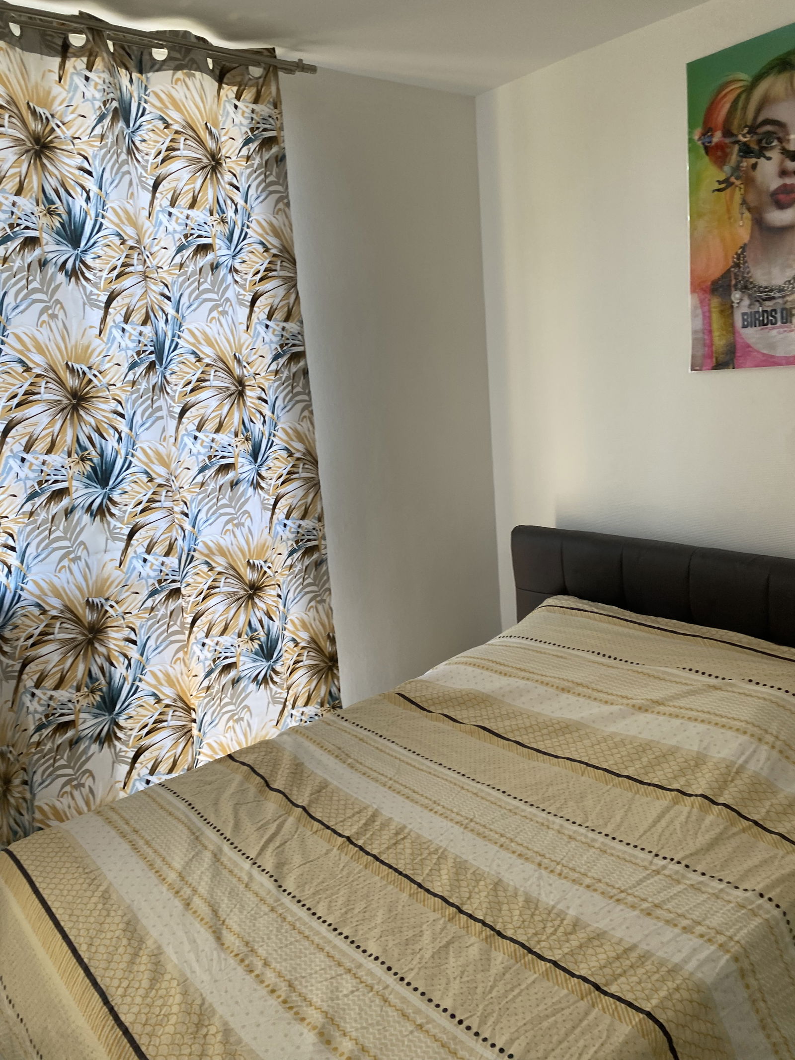 Colocación Noisy-le-Grand 263281