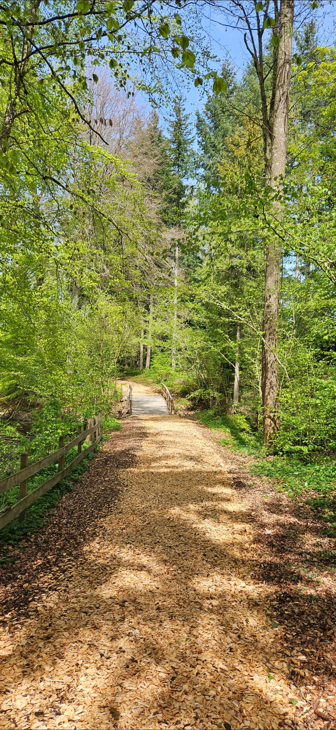 Quedarse En Casa Grolley 301322