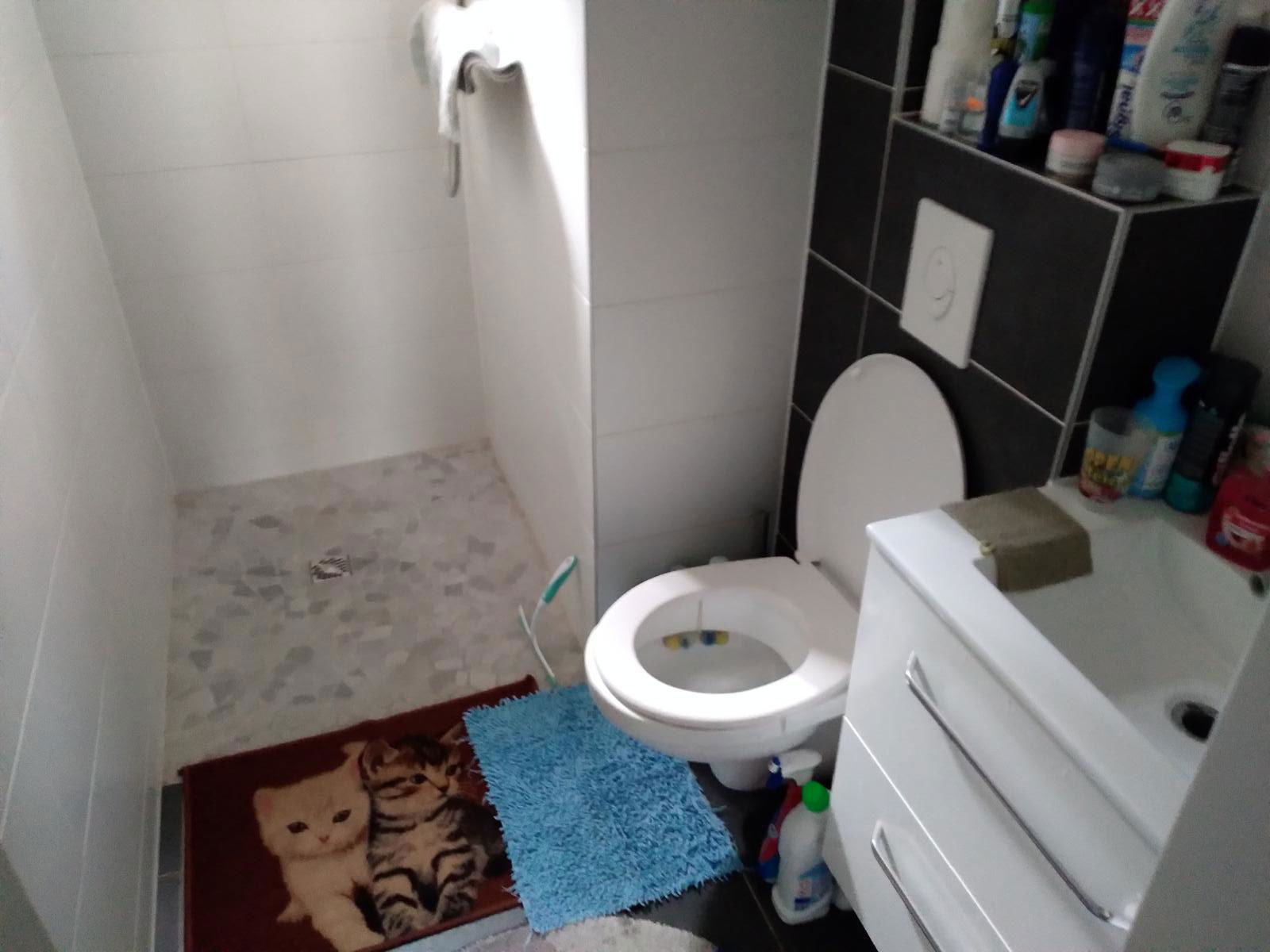 Colocación Bischheim 568185