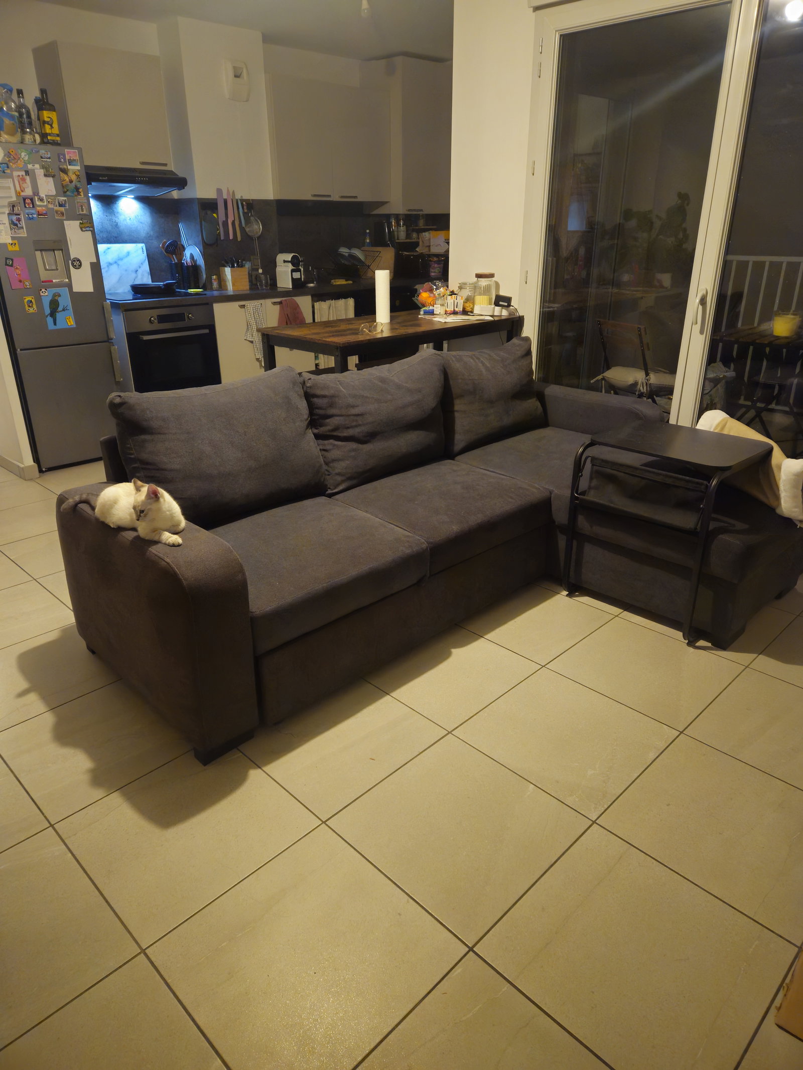 Piso Compartido Villeurbanne 672083