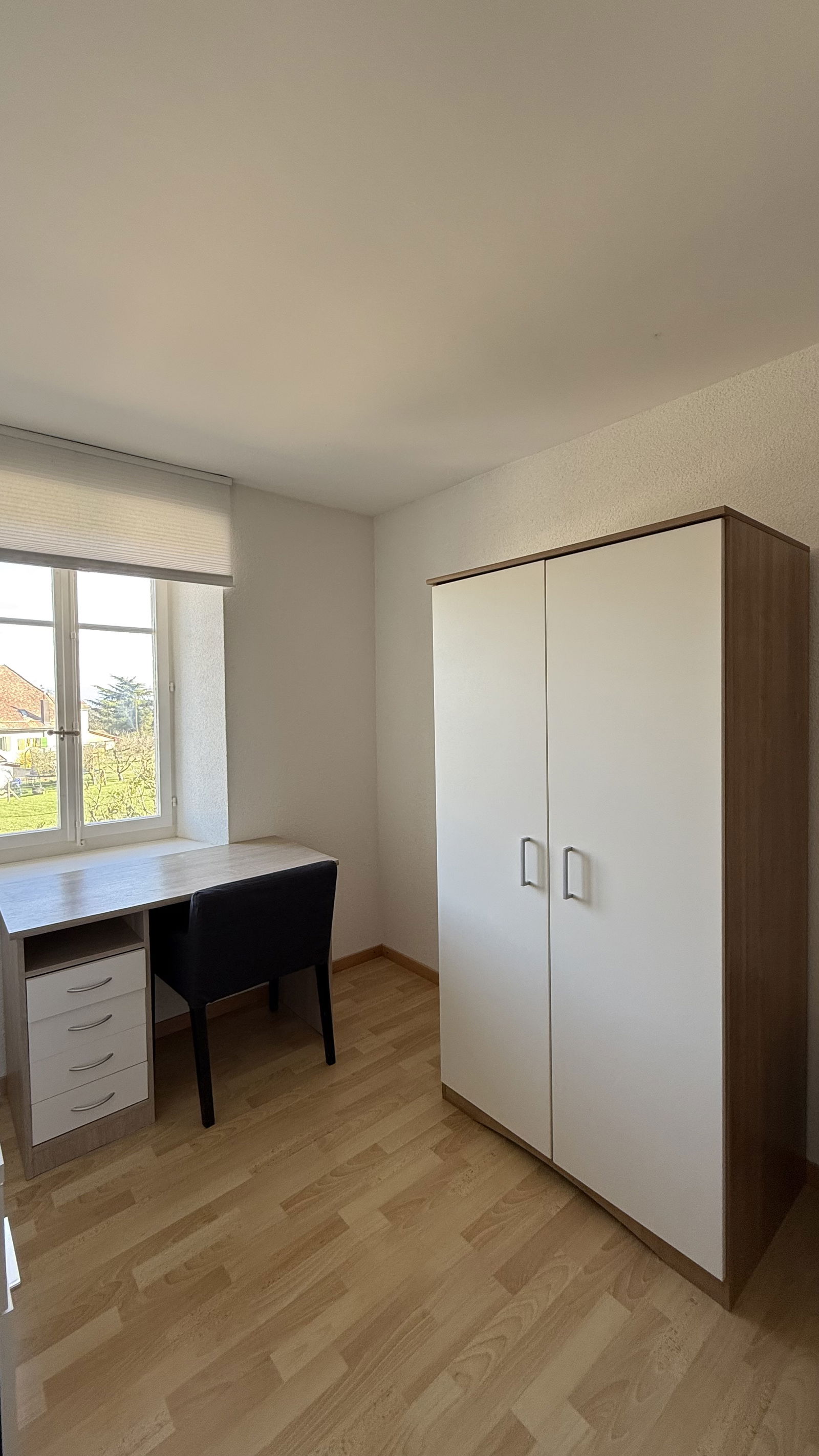 Colocación Pampigny 260559