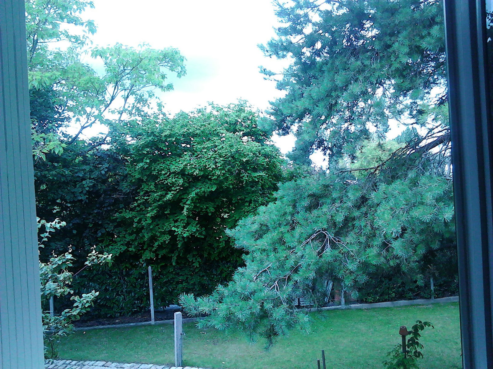 Colocación Chambray-lès-Tours 63033