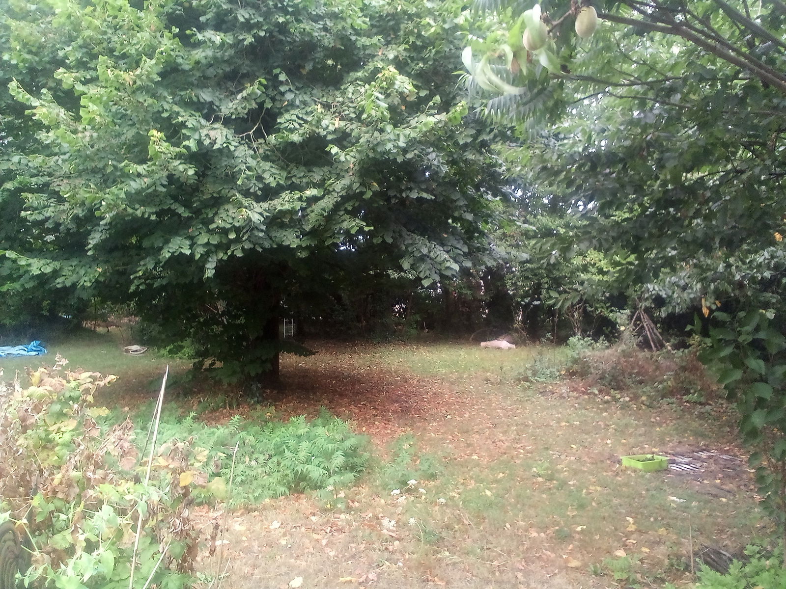 Quedarse En Casa Erdre-en-Anjou 561490