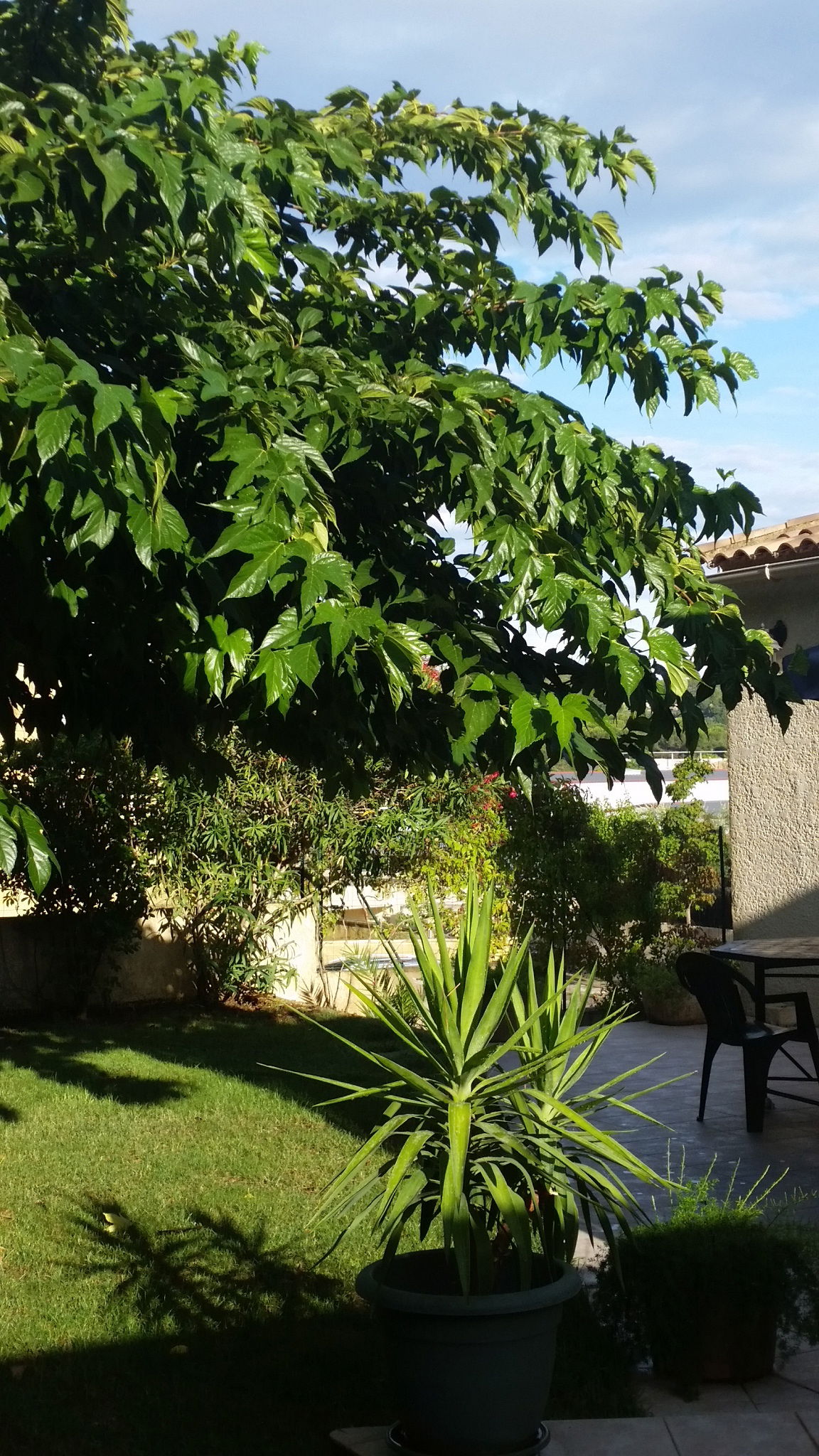 Quedarse En Casa Jacou 112532