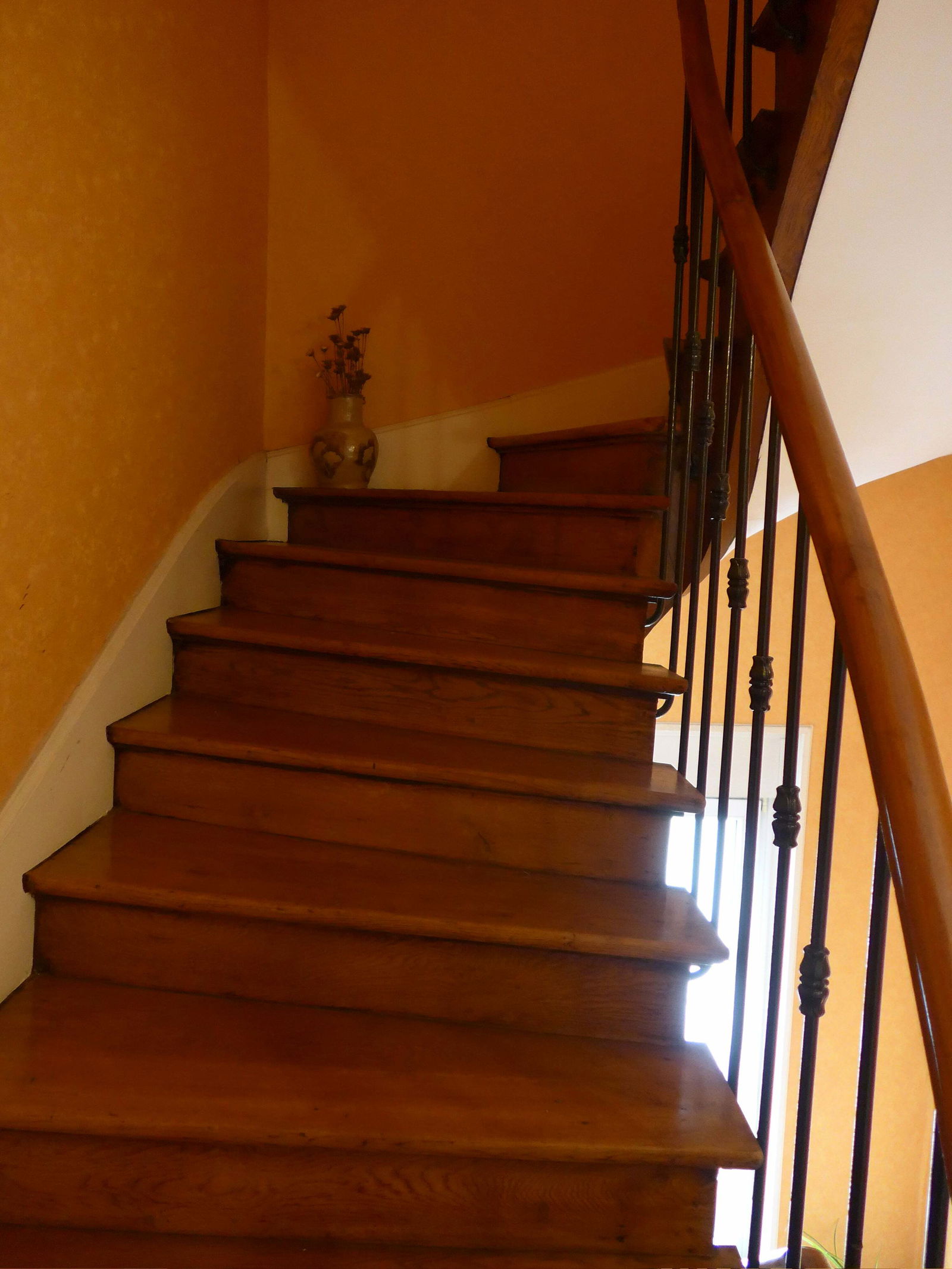 Colocación Nancy 235739