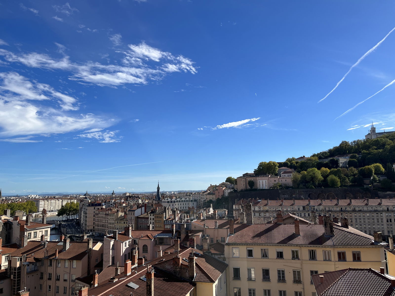 Colocación Lyon 591331