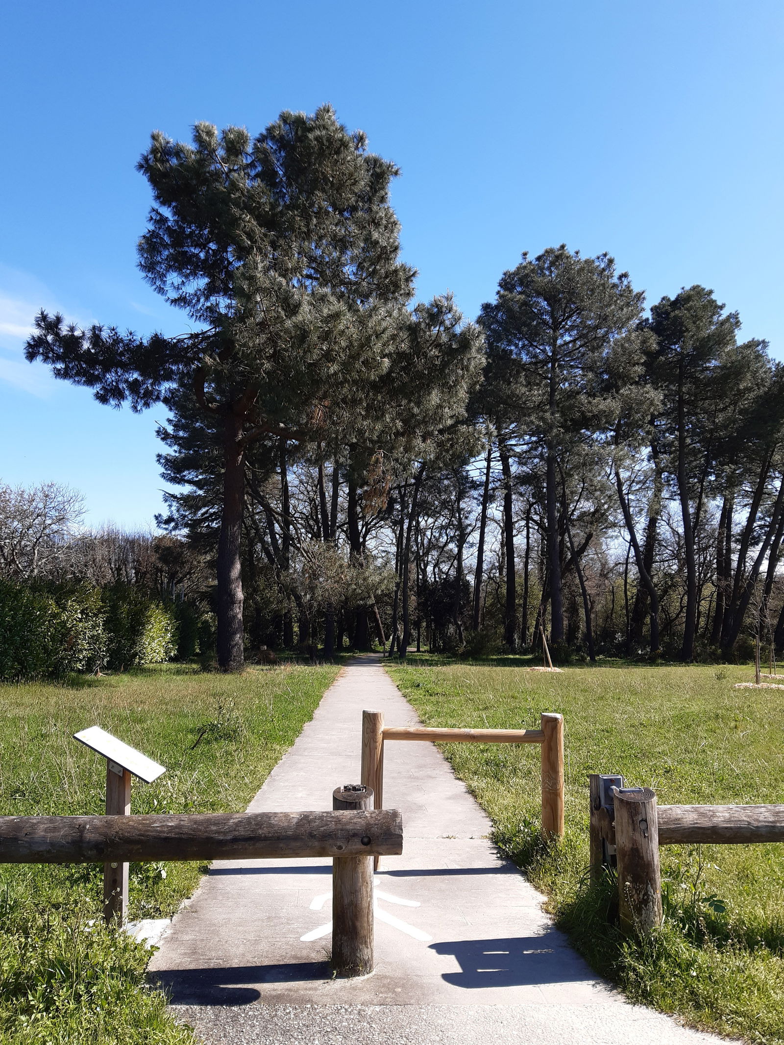 Quedarse En Casa Pessac 232915