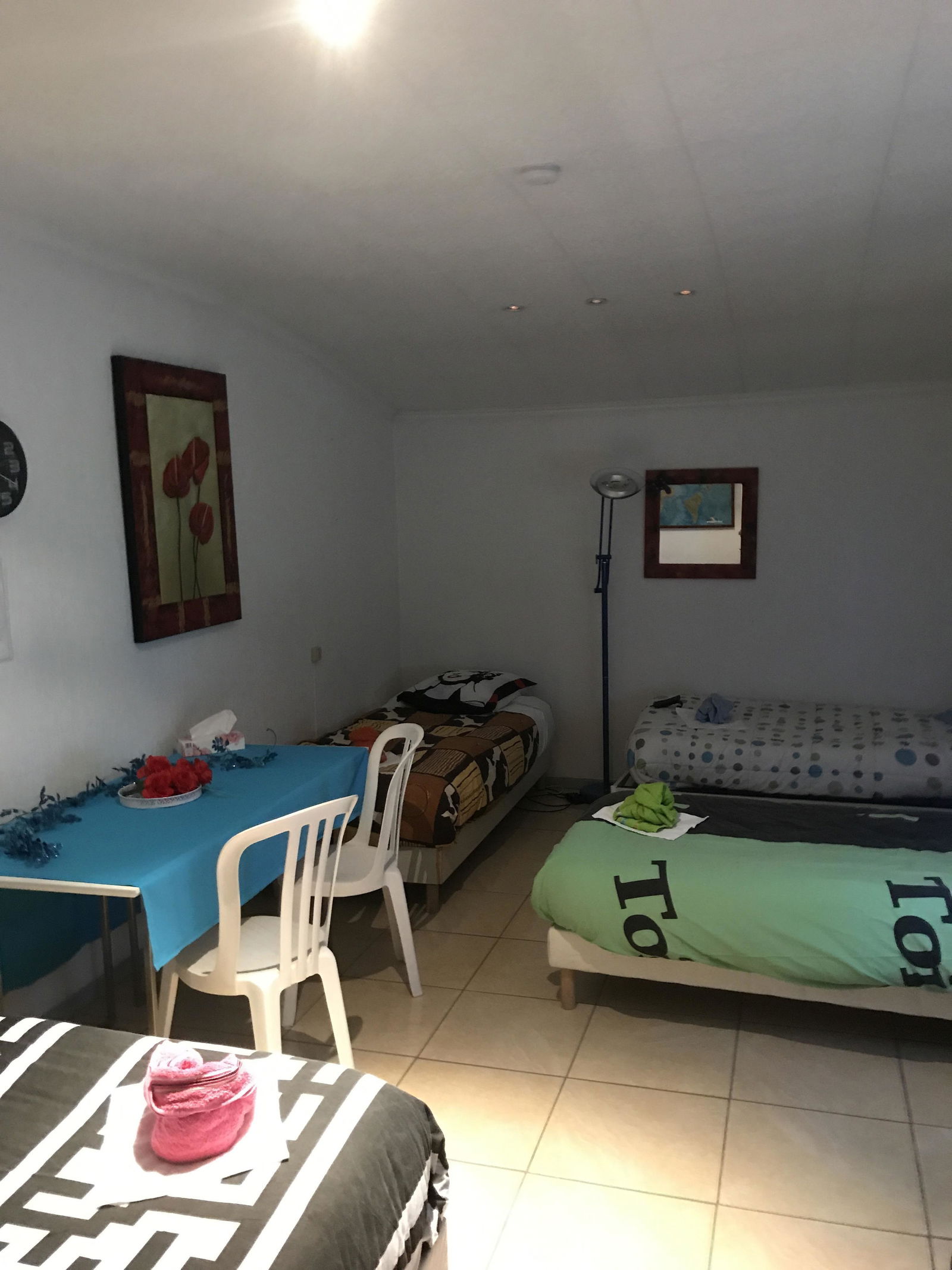 Colocación Ruaudin 141598