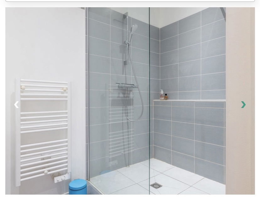 Colocación Saint-Étienne 222695