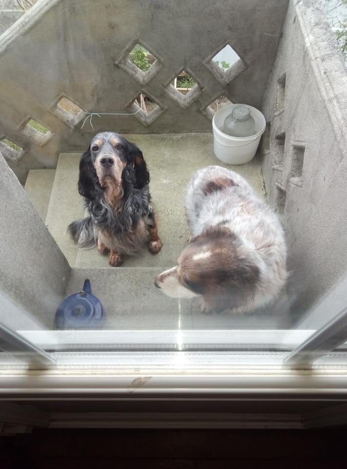 Quedarse En Casa Brest 252080