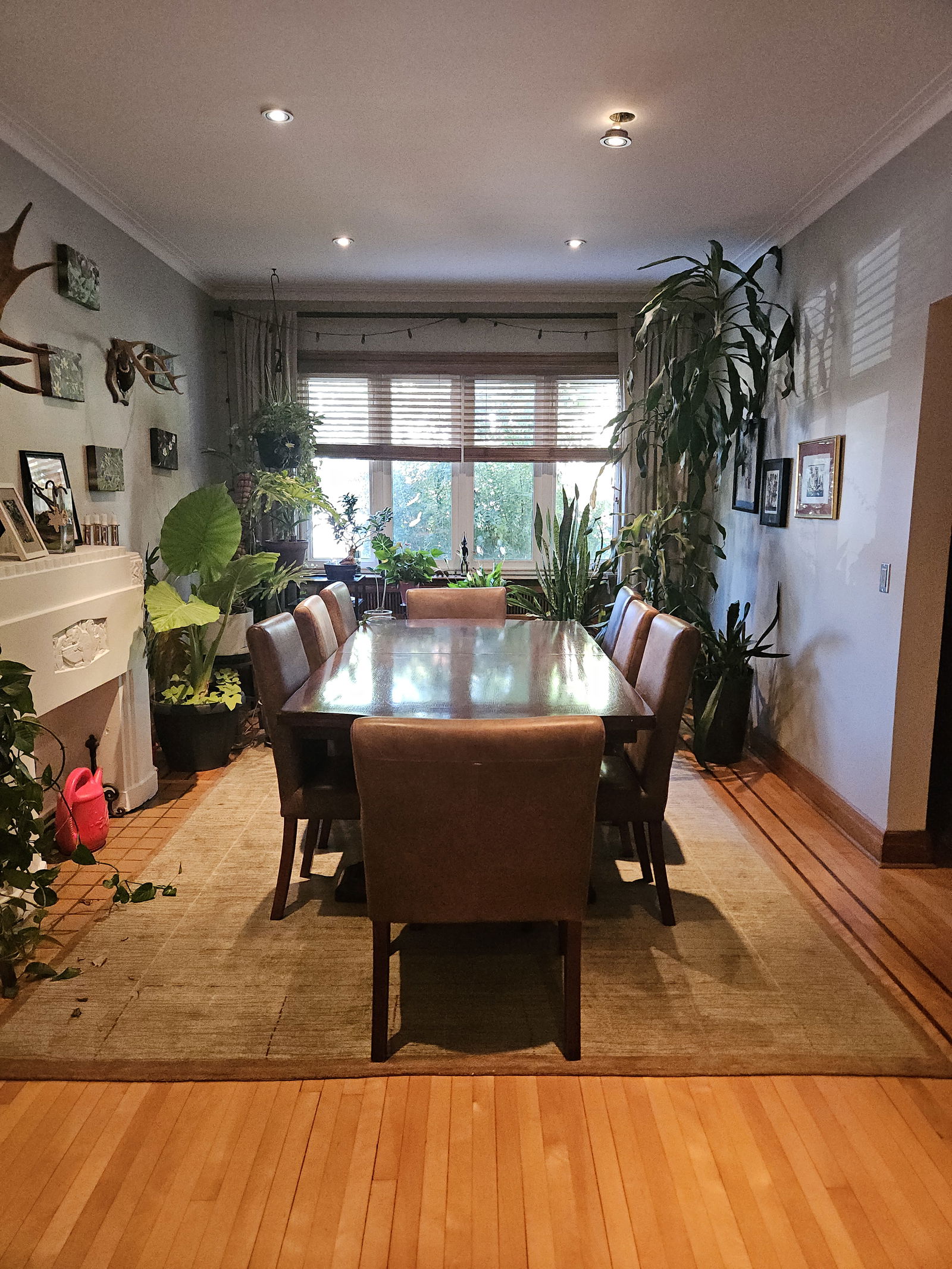 Quedarse En Casa Montréal 75353