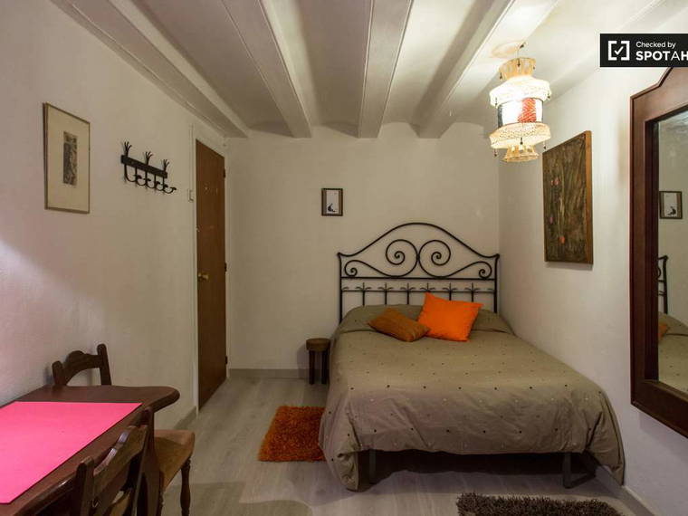 Homestay Barcelona 239147