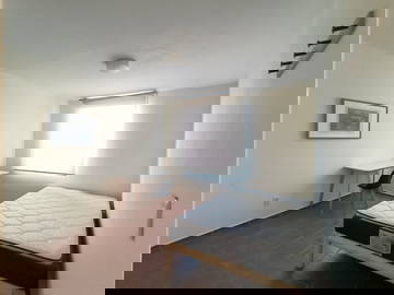 Coliving México D.f. 631379-4