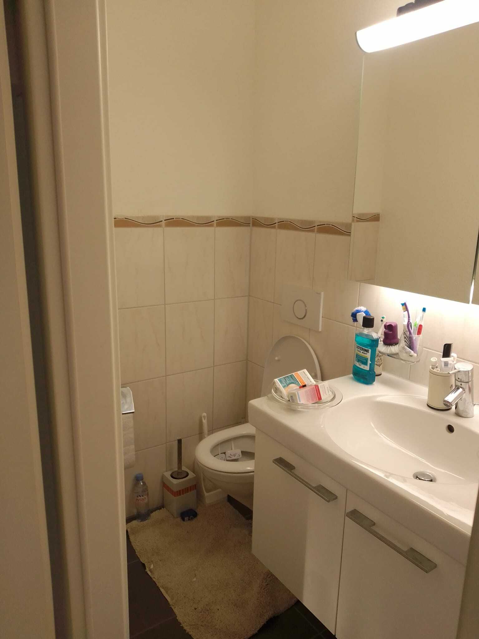 Colocación Berne 233719