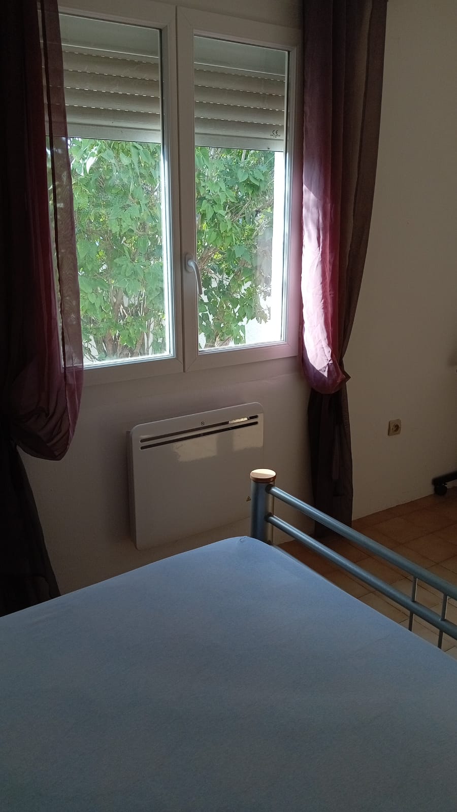 Colocación Canet 480704