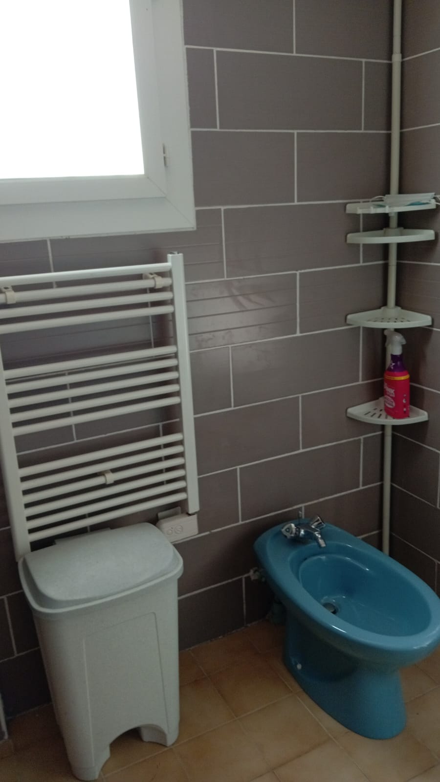 Colocación Canet 480704