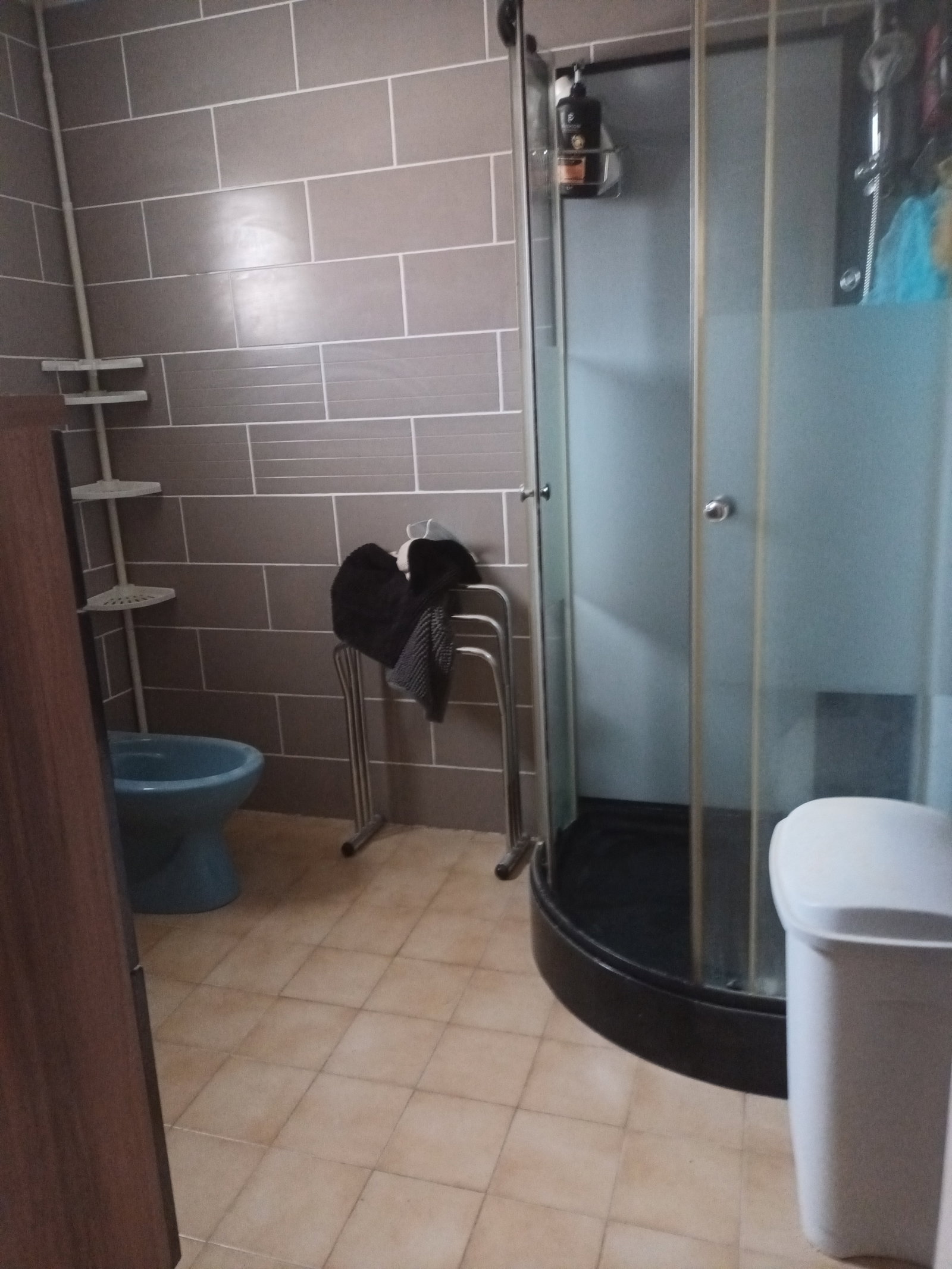 Colocación Canet 480704